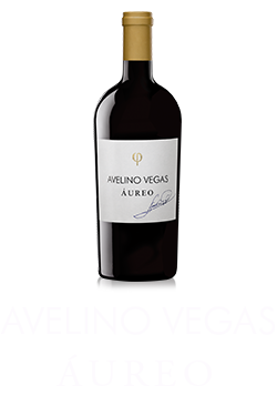 Avelino Vegas 100 Aniversario
